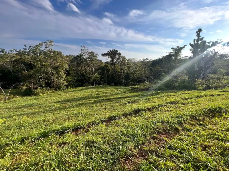 Montezuma Scenic Lots photo 15